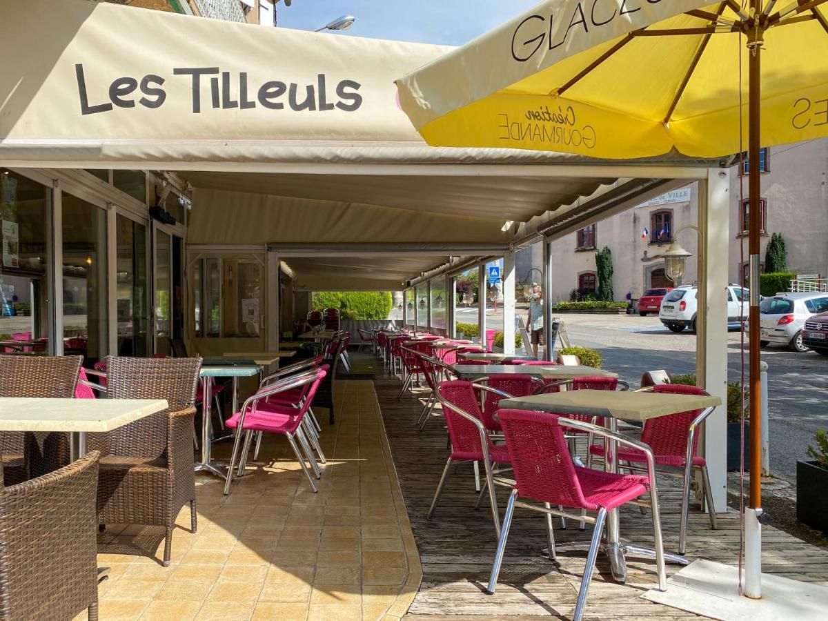 Hotel Les Tilleuls De Pareloup A Salles-Curan المظهر الخارجي الصورة