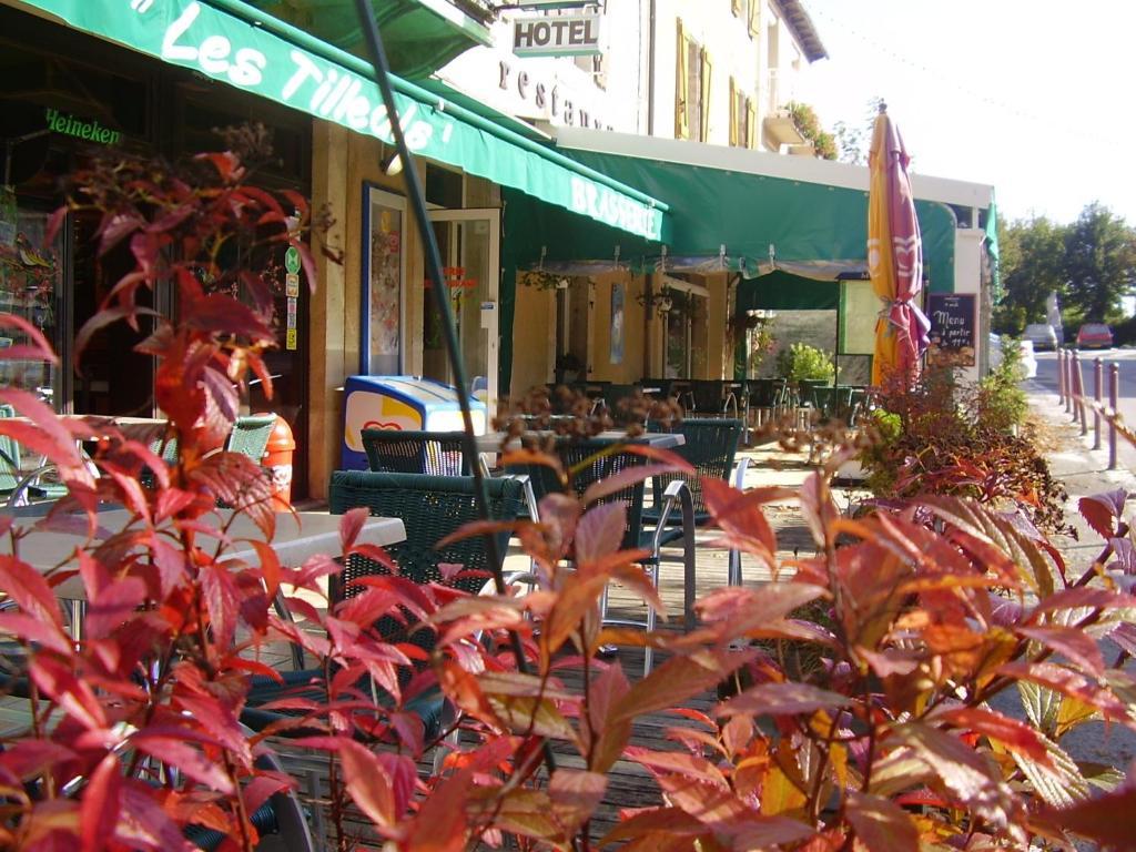 Hotel Les Tilleuls De Pareloup A Salles-Curan المظهر الخارجي الصورة